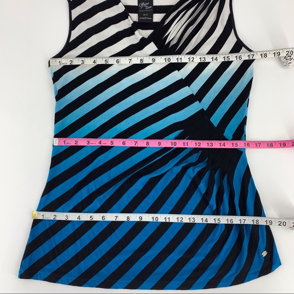 Point Zero Nicole Benisti Striped Ombre Sleeveless Top with Ruching, Large - Picture 14 of 16
